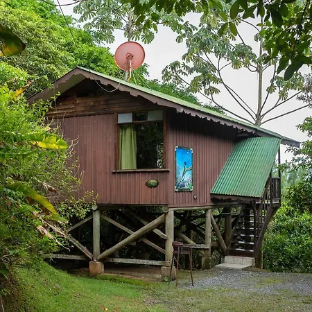 Cabanas El Bosque Turrialba Exterior photo