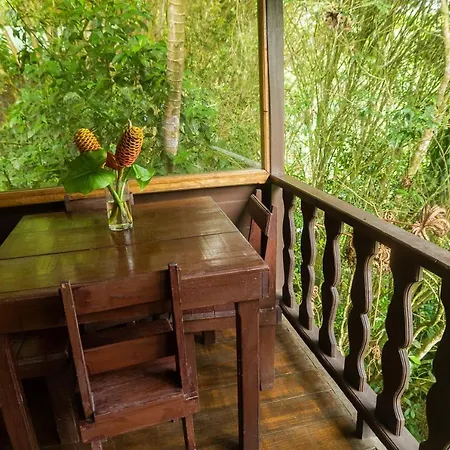 Cabanas El Bosque Turrialba Exterior photo