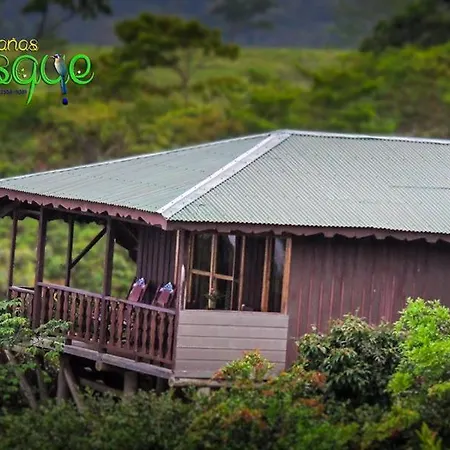 Cabanas El Bosque Turrialba Exterior photo