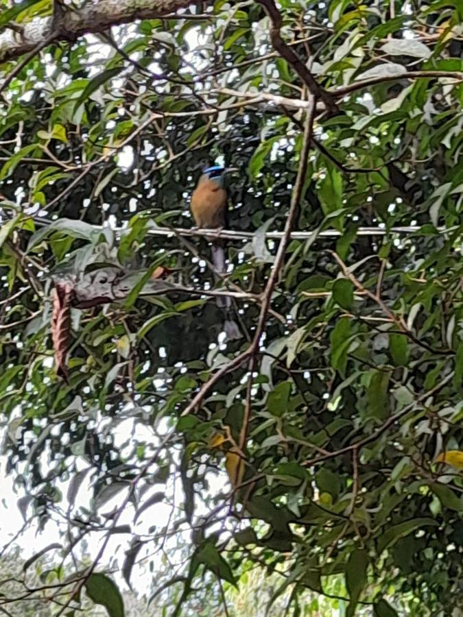 El Bosque Campingplatz Turrialba